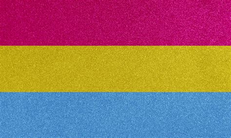 pansexual vs panromantic|Pansexuality